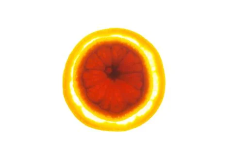 Close up two orange slices with backlite. macro photo Stock Photos