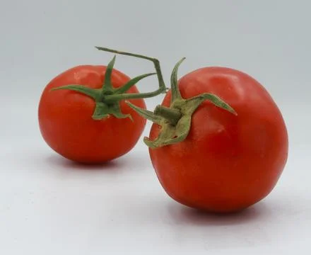Close-up of two red tomatoes lying slightly apart on a seamless white background Stock Photos