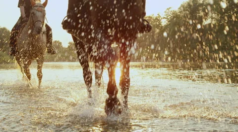 CLOSE UP: Two riders riding dark brown and grey horse along the river at sunrise Stock Footage 67396255
