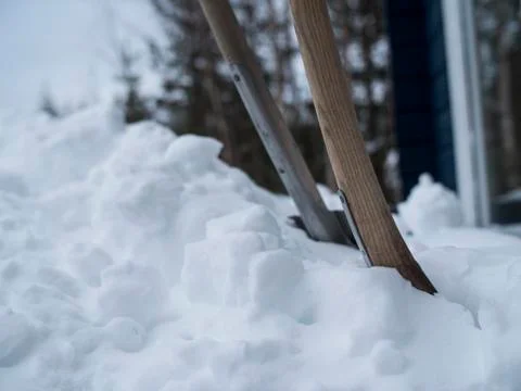 Close up of two showels placed in deep snow Foto stock