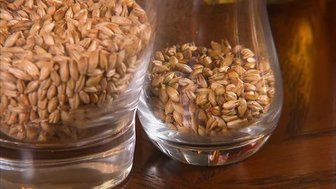 Close up of two small containers full of grain Stock Footage 87388066