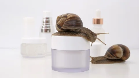 Close up of two snails on a jar of skin cream Stock Footage 115840283