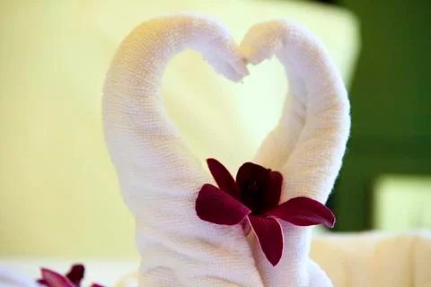 Close up two swans made from white towels are kissing on bed with orchid. Stock Photos