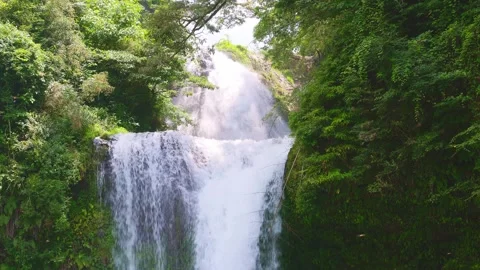Close up of two-tiered Jion Falls surrounded by vibrant green foliage 動画素材 341806341