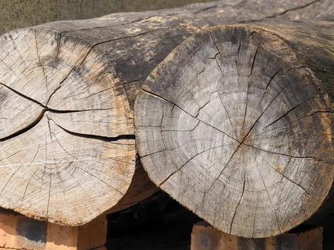 Close up of two tree trunks stacked next to each other Stock Photos