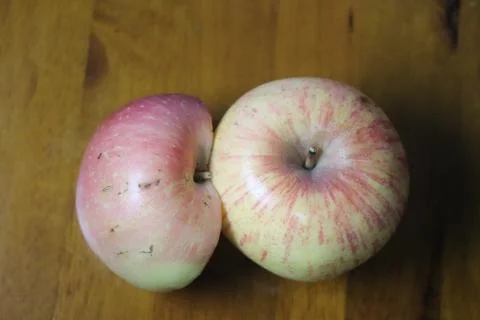 Close up of Two Unique Apples on a Rustic Wooden Table Stock Photos