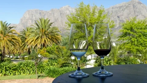 Close up of two wine glasses on table with wine estate grounds background 스톡 동영상 81577650