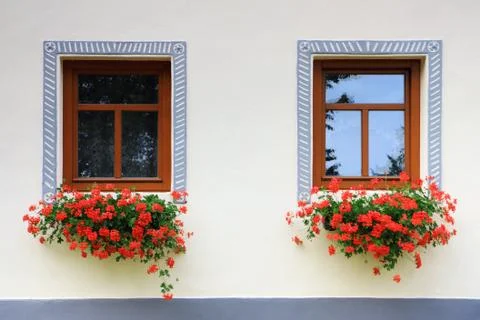 Close-up two wood old windows with flowers Stock Photos