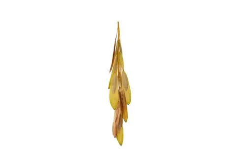 A close up of typical september plant, Stock Photos