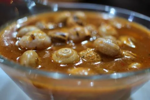 Close-up of a typical Spanish tapas of snails in sauce with herbs Stock Photos