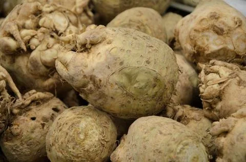 Close-up of ugly celery root on counter farm market Stock Photos