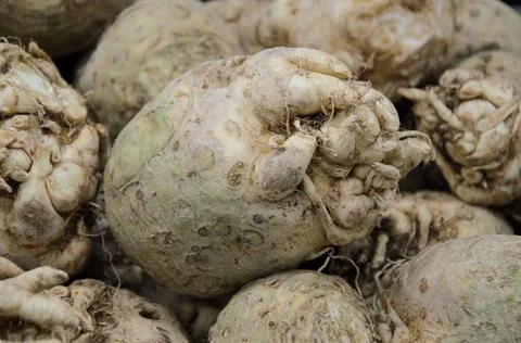 Close-up of ugly celery root on counter farm market Stock Photos