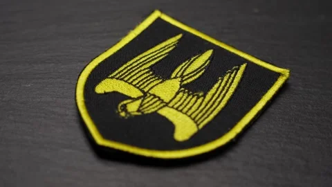 Close-Up of Ukrainian Donbas Unit Patch, Golden Eagle and Symbolic Design Stock Footage 302193942