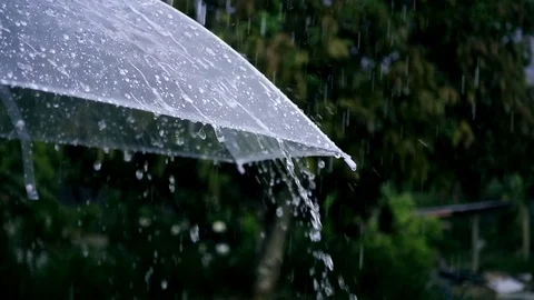 Close-up on umbrella with rain falling in park Stock Footage 76996852