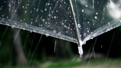 Close-up on umbrella with raining in the park outside Stock Footage 76328701