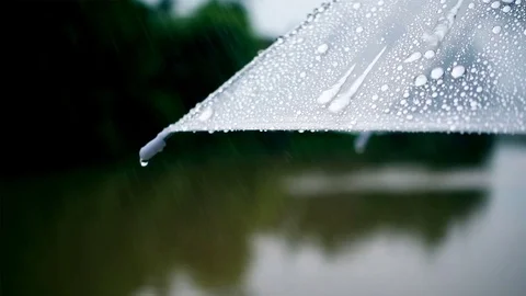 Close-up on umbrella with raining in the park outside Stock Footage 76996777