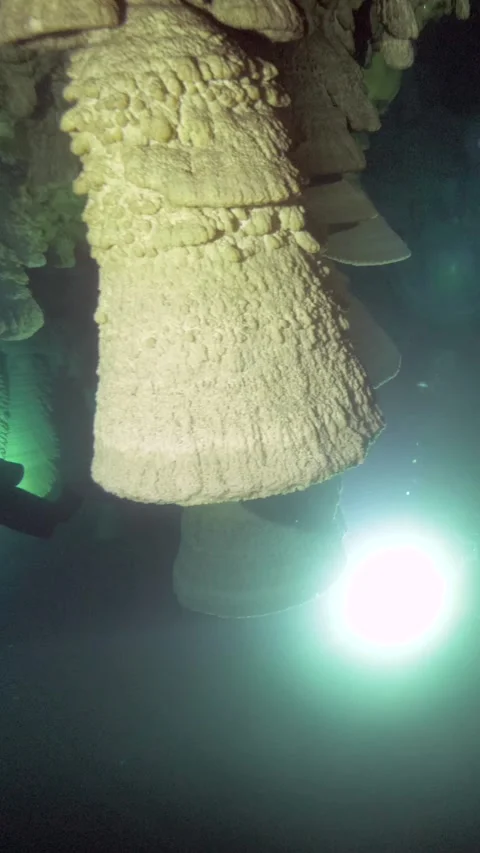 Close underwater pass beside a massive hanging Hells Bell Stock Footage 341395927