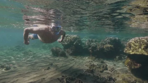 Close up underwater view of old man snorkeling in transparent ocean with corals Stock Footage 132545437