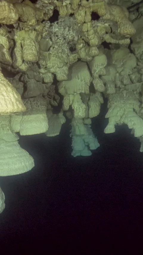 Close underwater view reveals large clustered Hells Bells Stock Footage 341396062