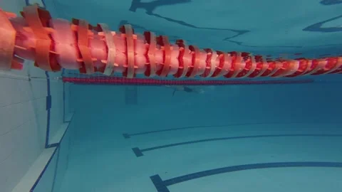 Close Up Underwater View of Swimming Pool Red Lane Divider Stock-Footage 342019883