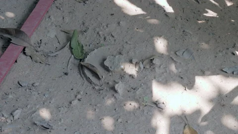 Close up of unexploded ordnance (UXO) mortar on the ground  Stock Footage 148402849