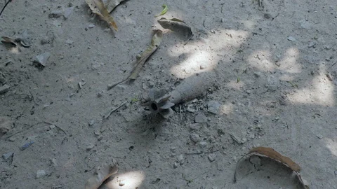Close up of unexploded ordnance (UXO) mortar on the ground  Stock Footage 148403204