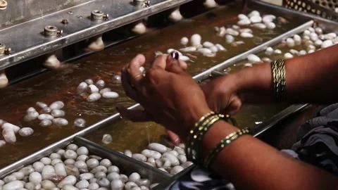 Close-up. unique process of extracting silk threads on authentic machine. Stock Footage 340536206