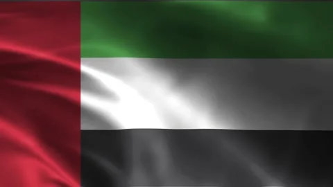 Close-up of the United Arab Emirates flag waving in the wind. Stock Footage 245183767