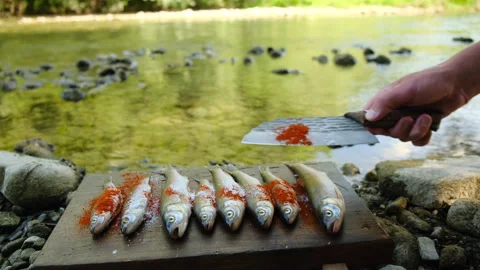 Close up of unknown man prepares fish on wooden cutting board near wild river Stock Footage 333761067