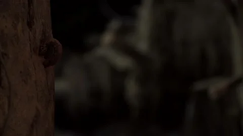 Close-up of unlocking an old rusted door bolt, opening the door and then Stock Footage 148805464