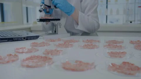 Close-up of an unrecognizable scientist with a microscope in the laboratory Video stock 205114500