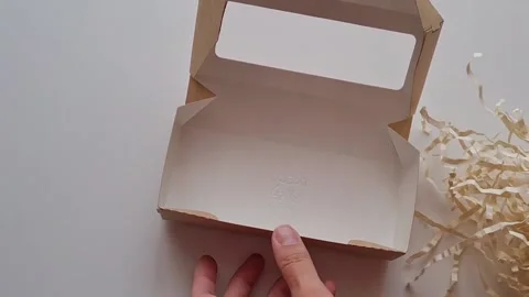 Close-up of an unrecognizable woman's hands putting a Maine Coon cat toy into a Stock Footage 200260668