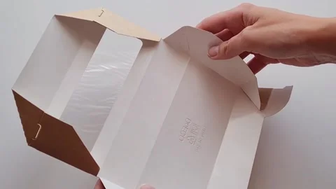 Close-up of an unrecognizable woman's hands putting a Maine Coon cat toy into a Stock Footage 200260774