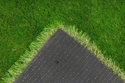 Close-up of unrolled artificial grass roll with detailed texture and backing Stock Photos