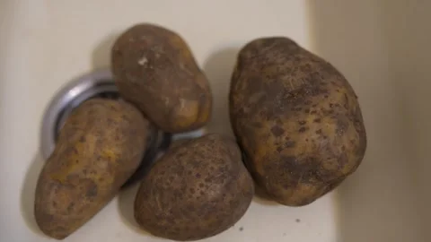 A close-up of unwashed potatoes in a white kitchen sink. Stock Footage 331942973