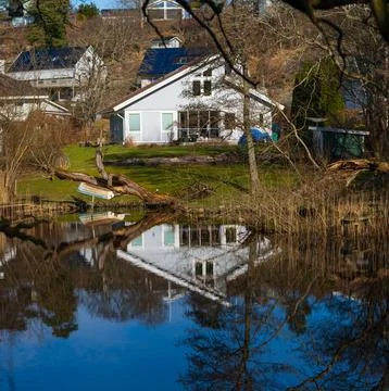 Close-up of uprooted tree roots. Stock Photos
