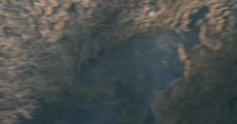 Close ups of bison herd moving across the landscape Stock Footage 337871426