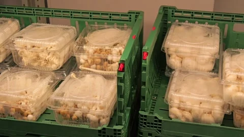 Close ups of various vegetables Vidéo 275836775