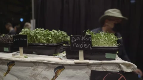 Close us of Microgreens at the Halifax Vegan Festival 4K Footage Stock Footage 291860226