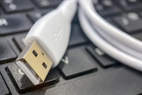 Close-Up of USB Cable on Keyboard. Stock Photos