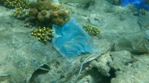 Close-up of used face mask and oter plastic garbage lies on seabed of Red Sea Stock Footage 143847385