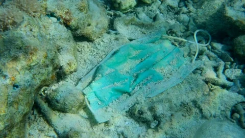 Close-up of used face mask lie on seabed of the Red Sea. Stock Footage 142933198