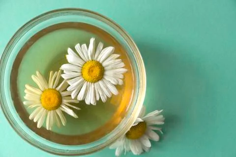 Close-up of useful chamomile tea on a light green background. Chamomile flowe Stock Photos