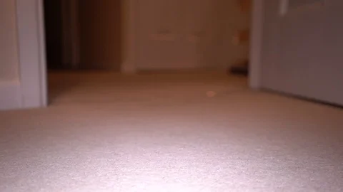 Close-up of vacuum cleaner on carpet being pushed towards the camera, 4k, UHD Stock Footage 86288441