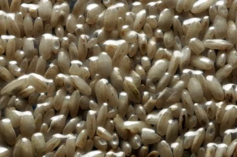 Close up on vacuum pack of rice Stock Photos