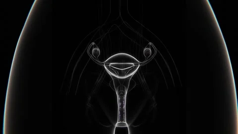 Close up of Vaginal Candidiasis Indication X-ray in HD video | Vaginal yeast Vidéo 300682570