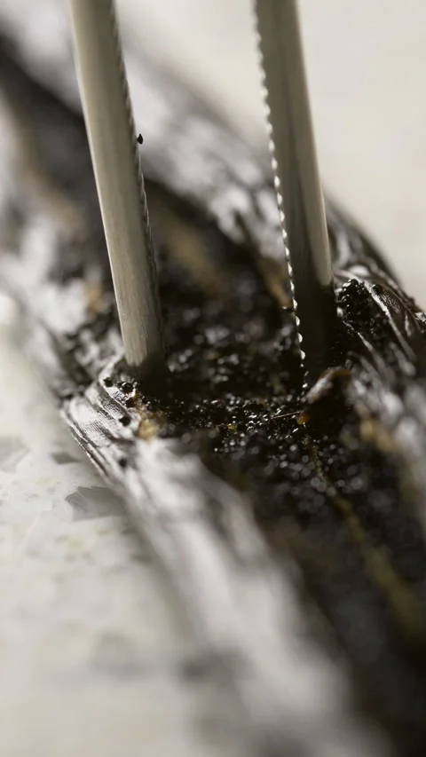Close-up of vanilla bean being opened with tweezers with black tiny seeds of Video stock 282717906