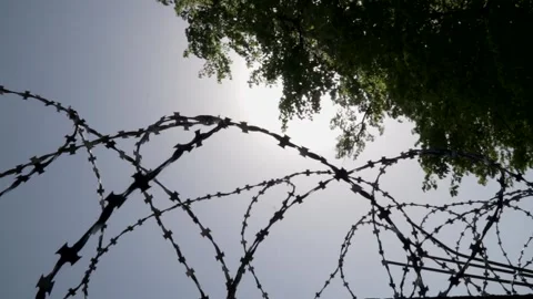 Close-up вarbed wire on the background the gray sky. Prison concept 056 Vídeos de archivo 154463156