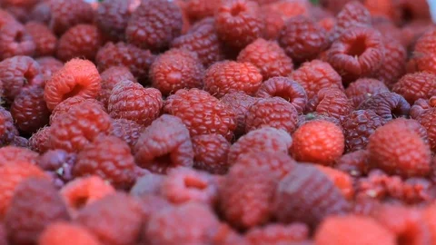 Close up variety of ripe red raspberry shallow focus bokeh background. Fly Video stock 119495903