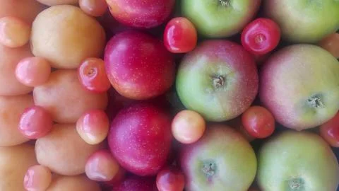 Close-up of various fresh fruit apples, apricots, cherries, plums and Hylas Stock Photos